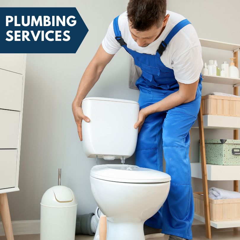 Plumbing Company in Keyesport, IL